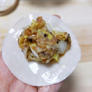 白菜肉馅饺子的做法步骤:8