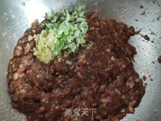 猪肉白菜水饺的做法步骤:6