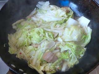 猪肉白菜炖粉条的做法步骤:7
