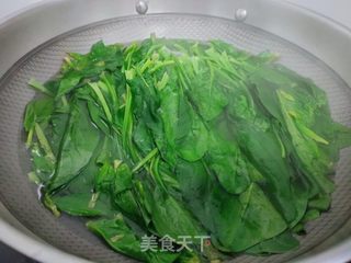 凉拌菠菜的做法步骤：4