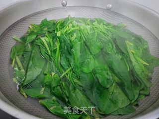 凉拌菠菜的做法步骤:4