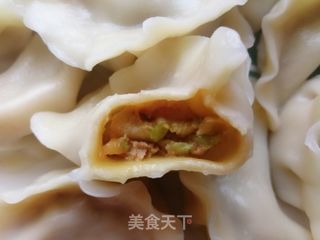 白菜猪肉饺子的做法步骤:19