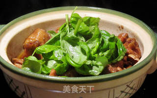 台式三杯鸡的做法步骤:10