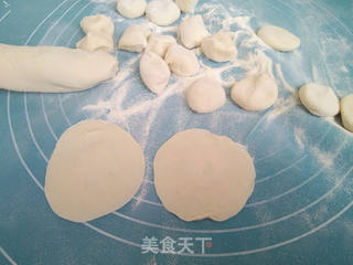 韭菜虾蓉馅水饺的做法步骤:5