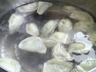 韭菜虾蓉馅水饺的做法步骤:8