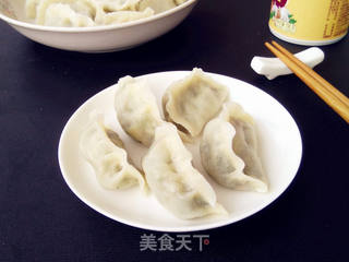 韭菜虾蓉馅水饺的做法步骤:9