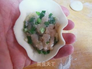 #鲅鱼馅饺子的做法图解14