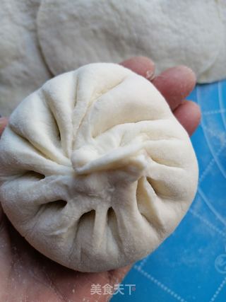 白菜猪肉粉条包的做法步骤:10