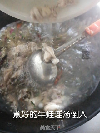 酸菜牛蛙的做法步骤:5