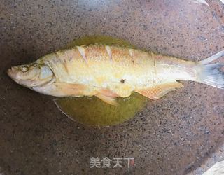 红烧大刁子鱼的做法步骤:5