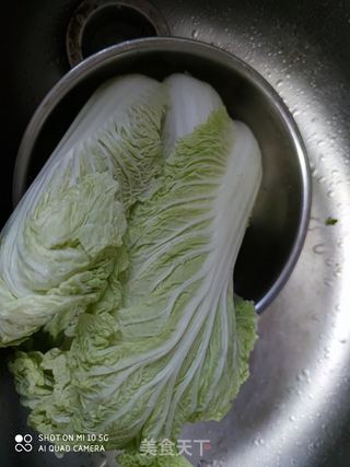 猪肉白菜炖粉条的做法步骤:4