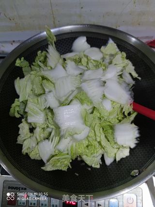 猪肉白菜炖粉条的做法步骤:10