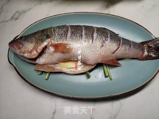 清蒸鲈鱼的做法步骤:3