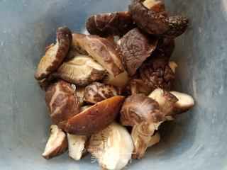 冬菇腐竹焖海参的做法步骤:3