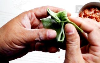 花式饺子——象形白菜饺的做法步骤:10