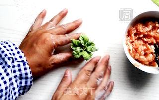 花式饺子——象形白菜饺的做法步骤:12