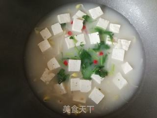 羊汤炖豆腐的做法步骤:12