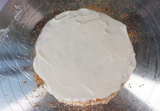俄罗斯提拉米苏的做法步骤:15
