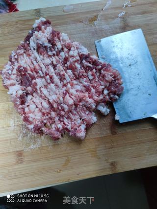 萝卜猪肉水饺的做法步骤:5