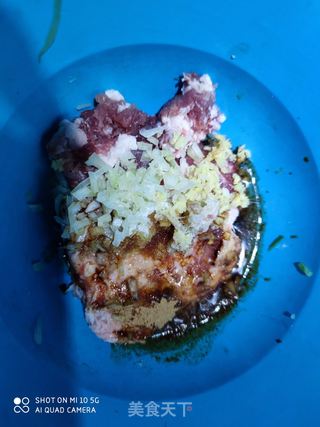 萝卜猪肉水饺的做法步骤:6