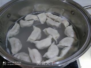 萝卜猪肉水饺的做法步骤：13