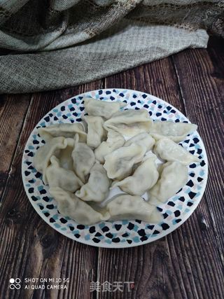 萝卜猪肉水饺的做法步骤:14