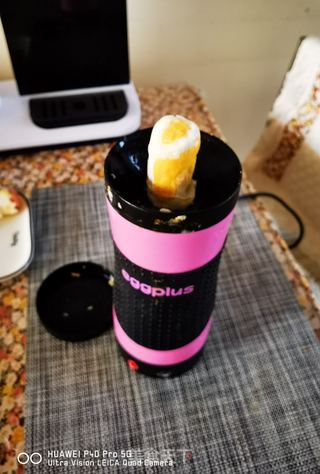 快手早餐&火腿鸡蛋卷的做法步骤:9