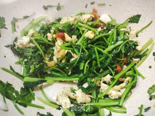 家常小炒菜-香菜炒鸡蛋的做法步骤:5