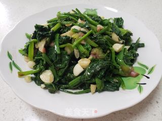 蒜蓉菠菜的做法步骤:6