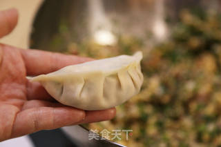 虾仁鸡蛋饺子的做法步骤:25