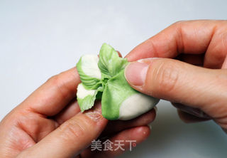 翡翠白菜蒸饺的做法步骤:22