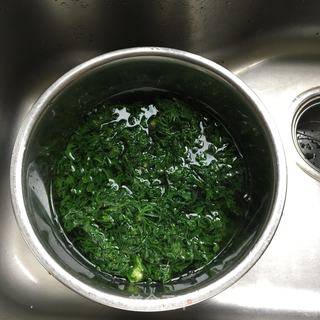 荠菜煎饺的做法步骤：2