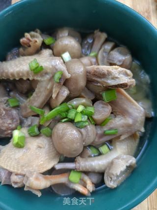 口蘑炖鸽子的做法步骤:17
