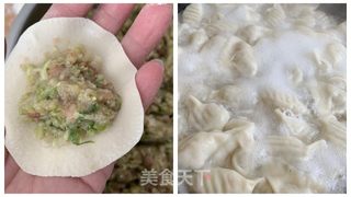 大白菜猪肉水饺的做法步骤:4