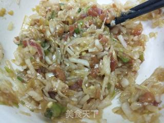 白萝卜猪肉饺子的做法步骤:7
