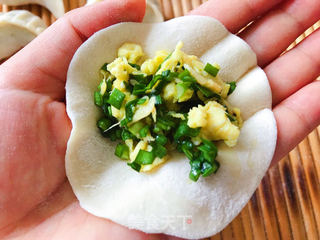 韭菜鸡蛋饺子的做法步骤:6