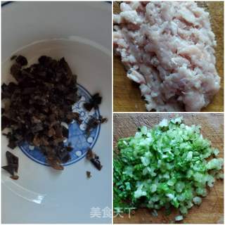 香芹鸡肉水饺的做法步骤:2