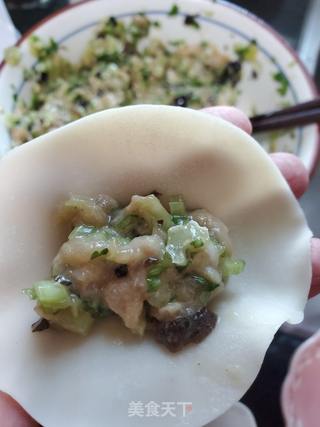 香芹鸡肉水饺的做法步骤:4
