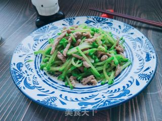 萝卜炒肉丝的做法步骤:13