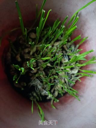 蒜香白菜炖血豆腐的做法步骤:7