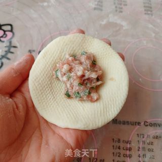 一次发酵鲜嫩多汁的大肉包的做法步骤:17