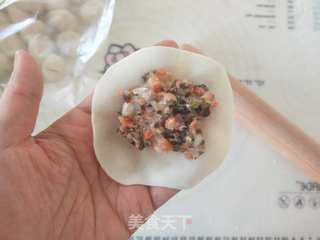 木耳鸡肉蒸饺的做法步骤:11
