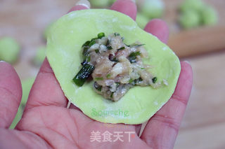 菠菜水饺的做法步骤:6