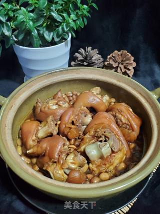 花生焖猪脚的做法步骤:8