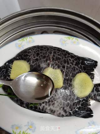 清蒸黑鲷鱼的做法步骤:6