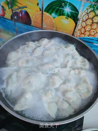 白菜素馅水饺的做法步骤:13