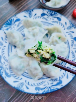 白菜素馅水饺的做法步骤:16