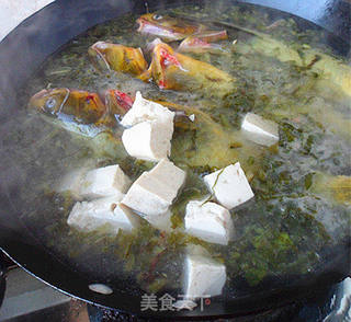 嘎鱼雪菜豆腐的做法步骤:6