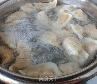 窝瓜胡萝卜猪肉水饺的做法步骤:10