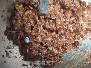 猪肉野菜饺子的做法步骤：10